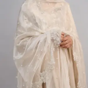 Organza Tissue Dupatta